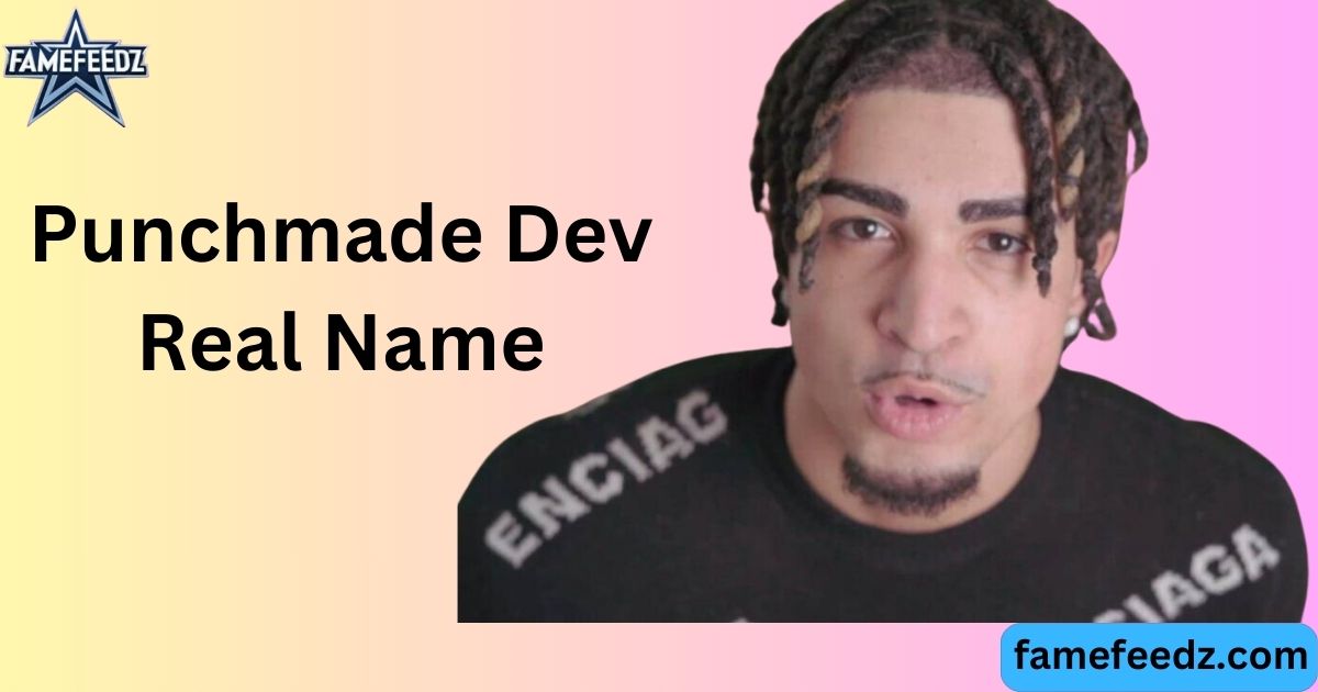 Punchmade Dev Real Name